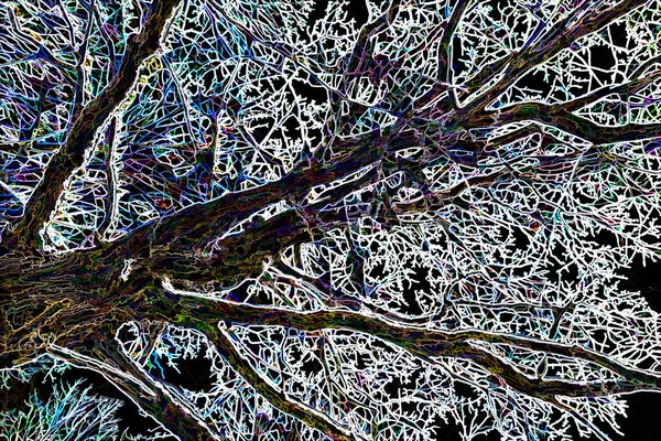 Ефект Тла Цифрової Ілюстрації Дерева Листівки — стокове фото