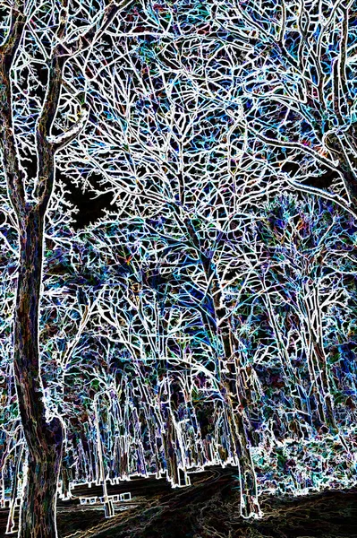 Digital Illustration Trees Postcard Background Effect — Stock Photo, Image