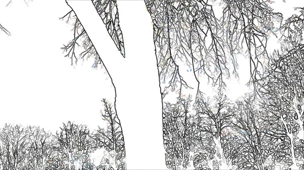 Déplacement Des Branches Des Nuages Arbres Par Temps Clair Illustration — Photo