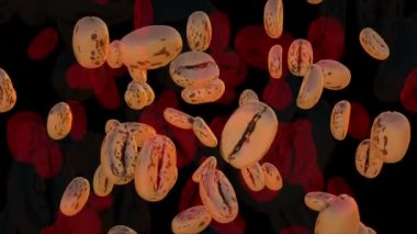 3 Boyutlu Kahve Fasulyeleri