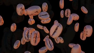 3 Boyutlu Kahve Fasulyeleri