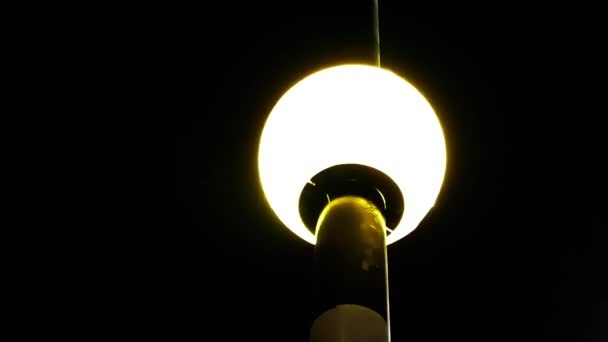 Beautiful Lamp Glow Night — Stock Video