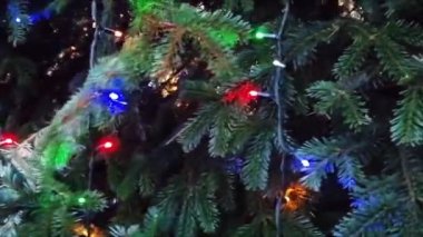 Işıklarla süslenmiş Noel Ağacı