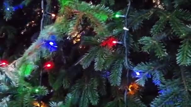 Χριστουγεννιάτικο Δέντρο Διακοσμημένο Φώτα — Αρχείο Βίντεο