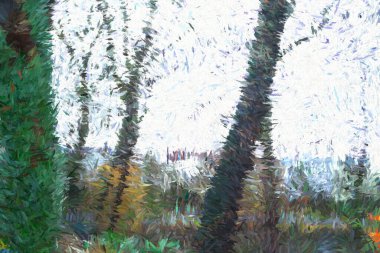 Dijital Resimler Ağaçlar Siluetleri Arkaplan