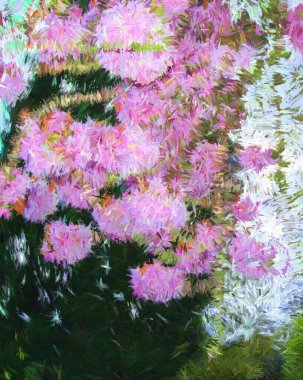 Dijital Görüntü Pembe Çiçek Arkaplanı