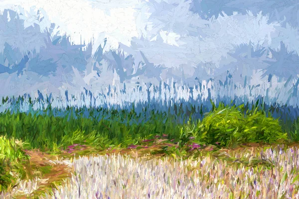 Digital Illustration Summer Landscape Background — 스톡 사진