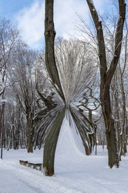 Dijital Görüntü Kış Ağaçları ve Kar Arkaplanı