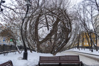 Dijital Görüntü Kış Ağaçları ve Kar Arkaplanı