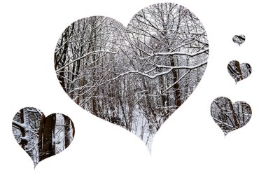 Dijital Çizim Kar Ormanı Şirin Arkaplan