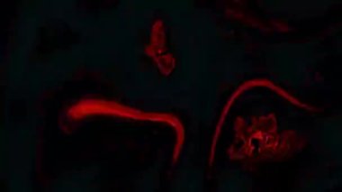 Soyut Organik Efekt Arkaplan Dijital Hazırlama