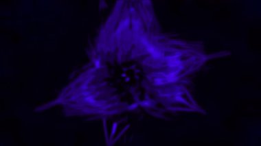 Elektrik Enerjisi Dijital Işıkları Hazırlıyor