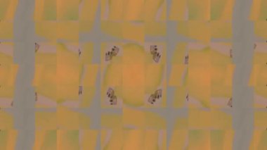 Canlı Geometrik Izgara Tasarımı Dijital Hazırlama