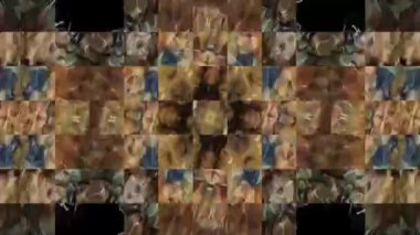 Canlı Geometrik Izgara Tasarımı Dijital Hazırlama