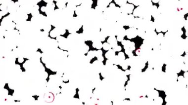 Soyut Kabarcıklar Canlı Arkaplan Dijital Hazırlama