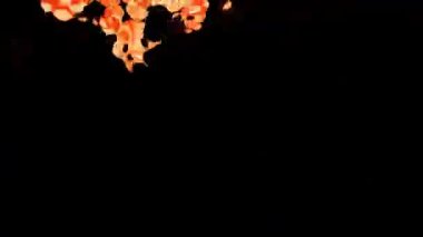 Soyut Kabarcıklar Canlı Arkaplan Dijital Hazırlama