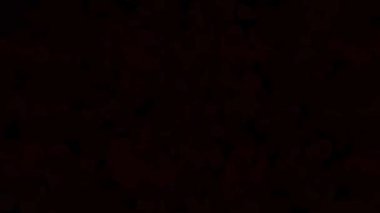 Soyut Kabarcıklar Canlı Arkaplan Dijital Hazırlama