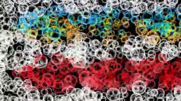 Abstract Bubbles Vibrant Background Redare Digitală — Videoclip de stoc