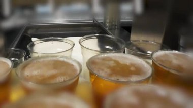 Plastik bardakta köpüklü bira. Yüksek kalite 4k görüntü