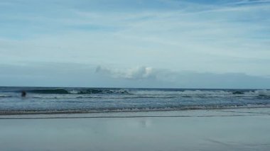 Sörfçülerle ve dalgalı dalgalarla dolu bulutlu bir kıyı şeridi. Yüksek kalite 4k görüntü