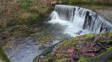 Lake District 'te güzel bir şelale. Yüksek kalite 4k görüntü