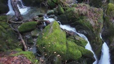 Doğa Parkı Göl Bölgesi 'nde Şelale. Yüksek kalite 4k görüntü