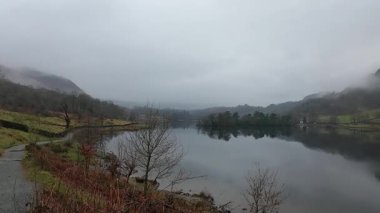 Göl kıyısındaki bir gölde sis. Yüksek kalite 4k görüntü