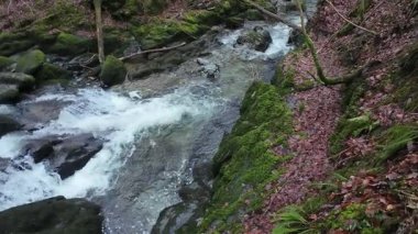 Doğa Parkı Göl Bölgesi 'nde Şelale. Yüksek kalite 4k görüntü