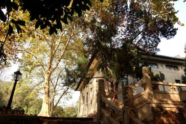 Çin 'de böyle bir sürü eski bina var.