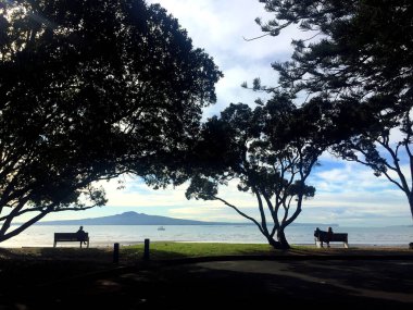 Yeni Zelanda 'nın çok güzel bir manzarası var. Bir sürü çimen, mavi gökyüzü ve beyaz bulutlar.