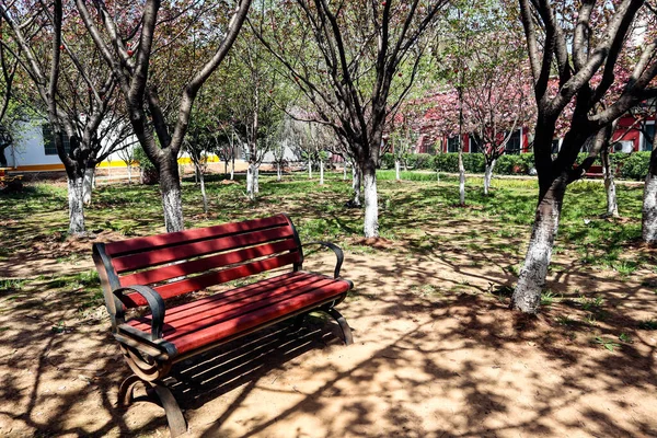 Garden Full Green Scenes Spring — Stock Photo, Image