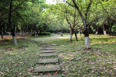 Parktaki kaldırım taşı yolu.