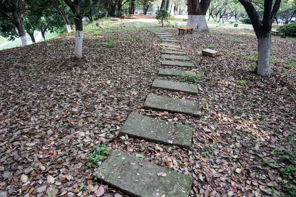 Flagstone Path Park — Stock Photo, Image