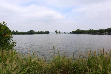 Bu, Çin 'deki yemyeşil bir parkın güzel bir manzarası. Geniş çayırlar ve güzel göller insanların dinlenip oynayabileceği bir yer.