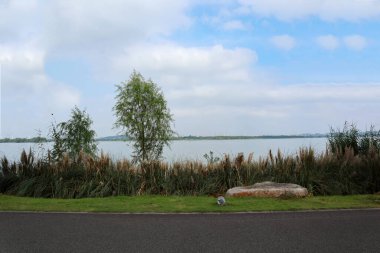 Bu, Çin 'de güzel gölleri olan güzel bir park manzarası.