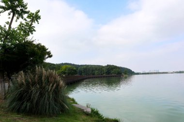 Bu, Çin 'de güzel gölleri olan güzel bir park manzarası.