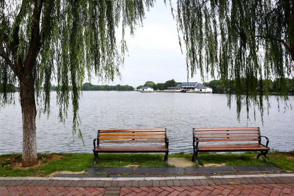 Egy Gyönyörű Kilátás Nyílik Buja Park Kínában Hatalmas Rétek Gyönyörű — Stock Fotó