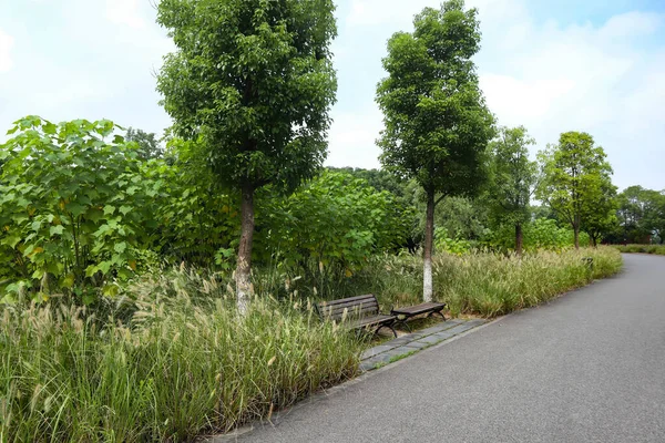 Bu, Çin 'deki yemyeşil bir parkın güzel bir manzarası. Geniş çayırlar ve güzel göller insanların dinlenip oynayabileceği bir yer.