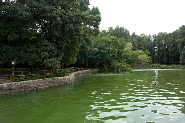 Esta Uma Bela Vista Parque Exuberante China Com Vastos Prados — Fotografia de Stock