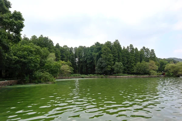 Bu, Çin 'deki yemyeşil bir parkın güzel bir manzarası. Geniş çayırlar ve güzel göller insanların dinlenip oynayabileceği bir yer.