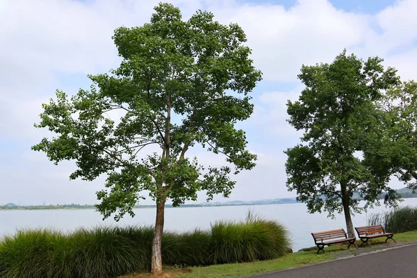 Bu, Çin 'de güzel gölleri olan güzel bir park manzarası.