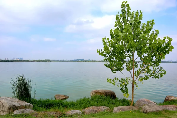 Esta Una Hermosa Vista Parque China Con Hermosos Lagos — Foto de Stock