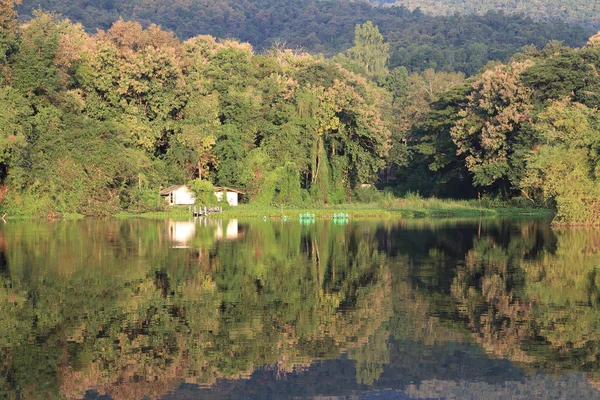 在清迈的郊区的一个小湖周围的冬季景观 — 图库照片