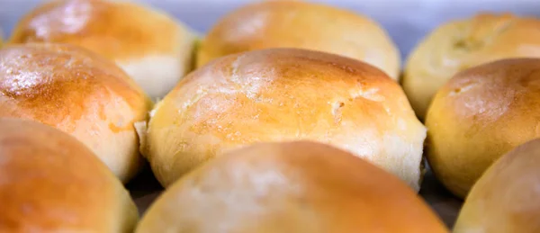 Golden, honey baked rolls on a baking tray.
