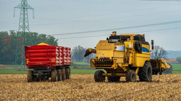 Combine-harvester on corn field during autumn.