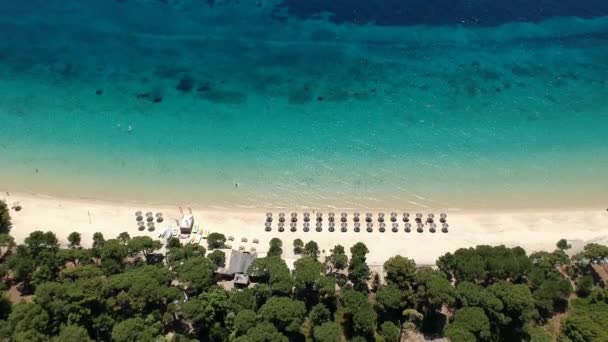 Letecký Výhled Pláž Koukounaries Ostrově Skiathos Sporades Magnesia Řecko — Stock video