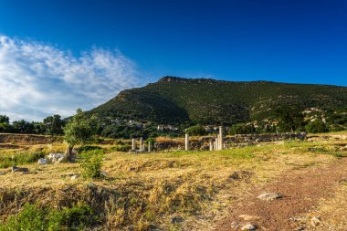 Messini, Yunanistan - 20 Haziran 2021: Antik Messene arkeoloji sahasındaki kalıntılar, Moreloponnese, Yunanistan. Yunanistan 'ın en iyi korunmuş antik kentlerinden biri. Tarihi M.Ö. 4. yüzyıla dayanıyor..