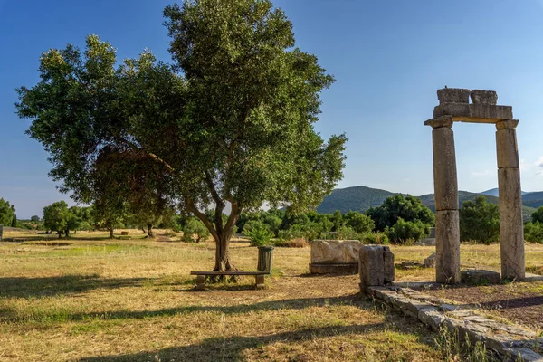 Messini Grecja Czerwca 2021 Ruiny Starożytnego Messene Archeologicznego Peloponez Grecja — Zdjęcie stockowe