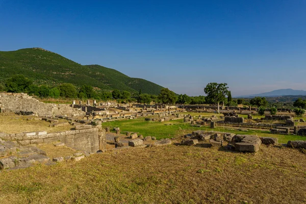 メッシーニ ギリシャ 6月20 2021 古代メセネ遺跡遺跡 ペロポネソス ギリシャ 古代ギリシャで最も保存状態の良い都市の一つで 目に見える遺跡は紀元前4世紀より前に遡る — ストック写真