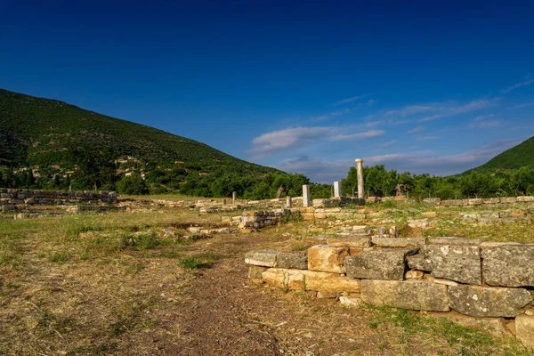 メッシーニ ギリシャ 6月20 2021 古代メセネ遺跡遺跡 ペロポネソス ギリシャ 古代ギリシャで最も保存状態の良い都市の一つで 目に見える遺跡は紀元前4世紀より前に遡る — ストック写真